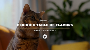 EPISODE 12 - PERIODIC TABLE OF FLAVORS